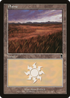 Plains (331) (ODY-331) - Odyssey Foil