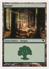 Forest (Spanish) - "Bosque" (B47) (PSAL-B47) - Salvat 2005