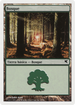 Forest (Spanish) - "Bosque" (B47) (PSAL-B47) - Salvat 2005