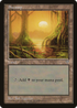 Swamp (Mossy Roots) (MIR-) - Mirage