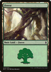Forest (270) (BFZ-270) - Battle for Zendikar