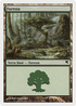 Forest (Italian) - "Foresta" (L48) (PSAL-L48) - Salvat 2005