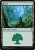 Forest (266) (ELD-266) - Throne of Eldraine
