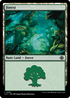 Forest (0401) (LCI-401) - The Lost Caverns of Ixalan