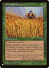 Elephant Grass (LIST-) - The List