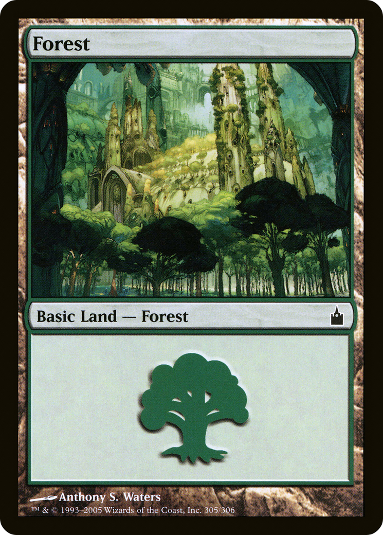 Forest (305) (RAV-305) - Ravnica: City of Guilds Foil