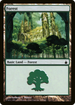 Forest (305) (RAV-305) - Ravnica: City of Guilds Foil