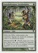 Birchlore Rangers (Spanish) - "Guardabosques leeabedules" (B53) (PSAL-B53) - Salvat 2005
