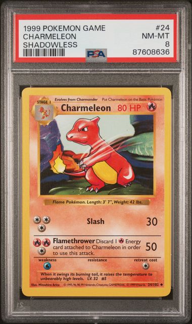 1999 Pokemon Base Set Shadowless #24 Charmeleon PSA 8