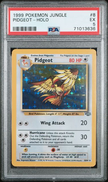 1999 Pokemon Jungle Unlimited #8 Pidgeot- Holo PSA 5