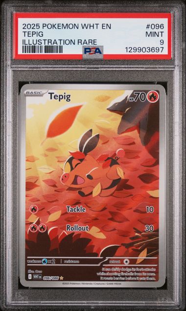 2025 Pokemon White Flare #096 Tepig - Illustration Rare PSA 9