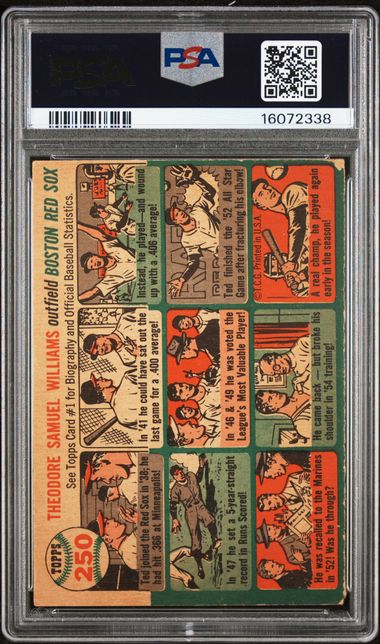1954 Topps #250 Ted Williams PSA 5 | Eastridge Sports Cards