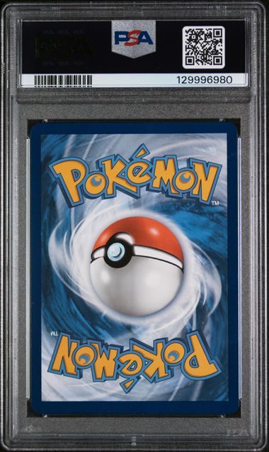 2025 Pokemon Journey Together #162 Wailord- Illustration Rare PSA 10