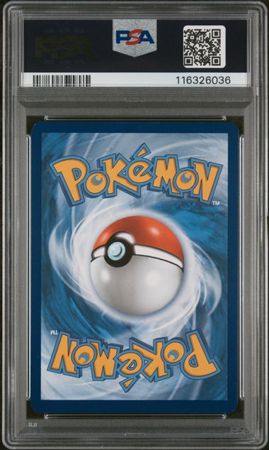 2025 Pokemon Journey Together #162 Wailord- Illustration Rare PSA 9