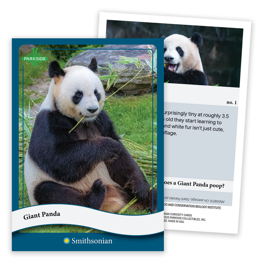 Parkside Curiosity Cards: Animal Kingdom