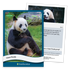 Parkside Curiosity Cards: Animal Kingdom