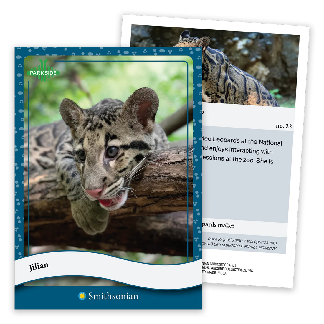 Parkside Curiosity Cards: Animal Kingdom