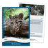 Parkside Curiosity Cards: Animal Kingdom