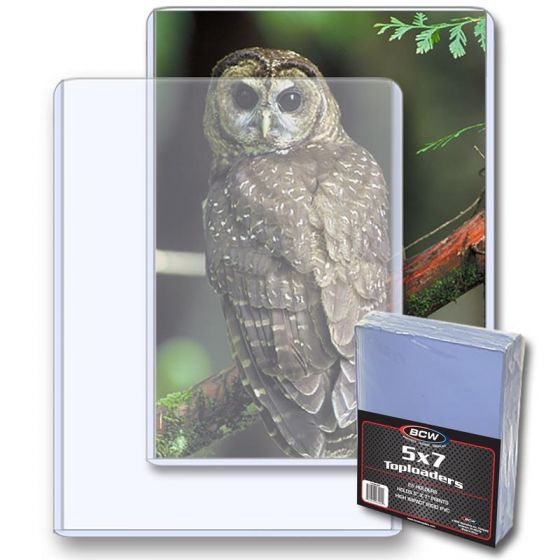 BCW 5x7 Toploaders (25pk)