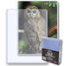 BCW 5x7 Toploaders (25pk)