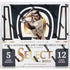 2022 Panini Select Baseball Hobby Box
